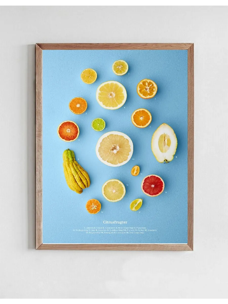Citrusfrugter