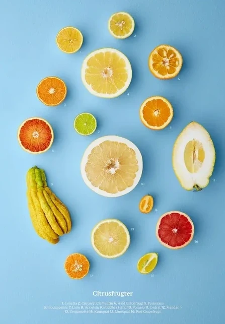 Citrusfrugter