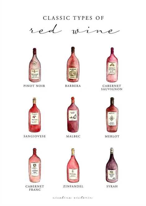 Classic Red Wines