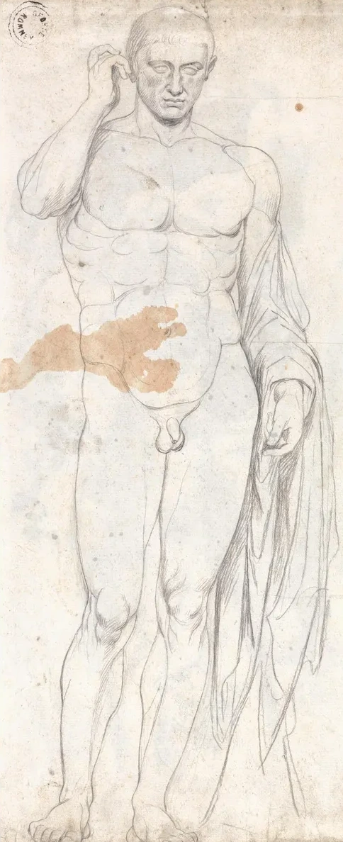 Classical Male Nude