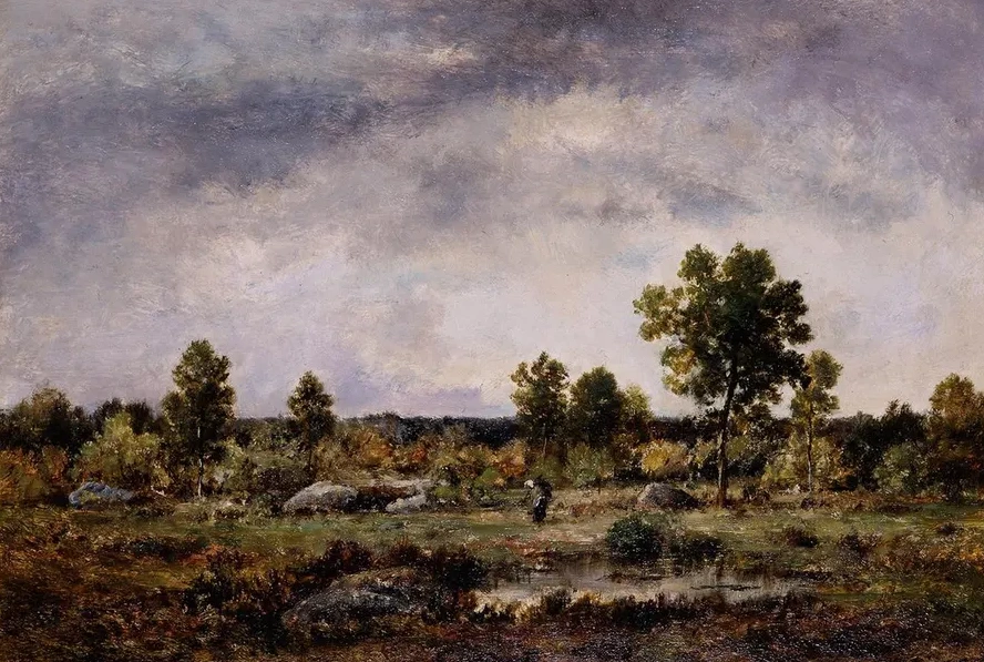 Clearing in the Forest
