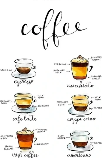 Coffee Guide