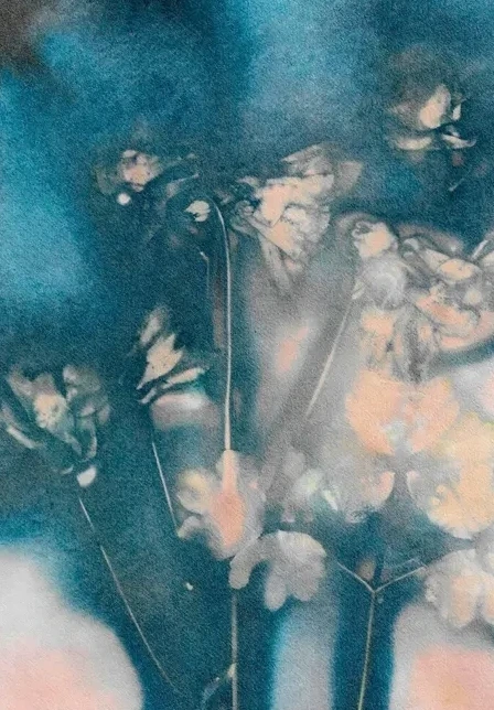Columbine 2 Peach Blue