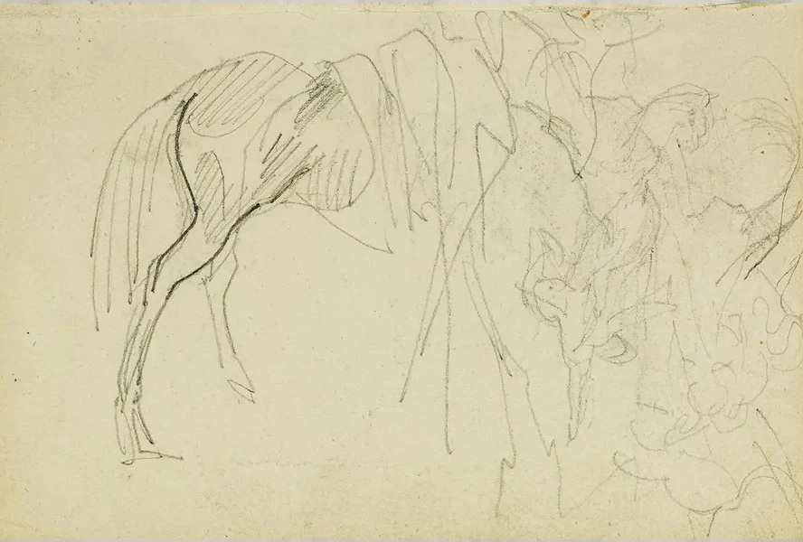 Compositional Study, Horse Studies