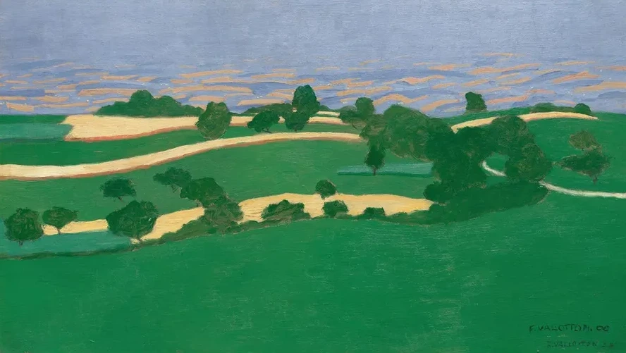 Corn Fields