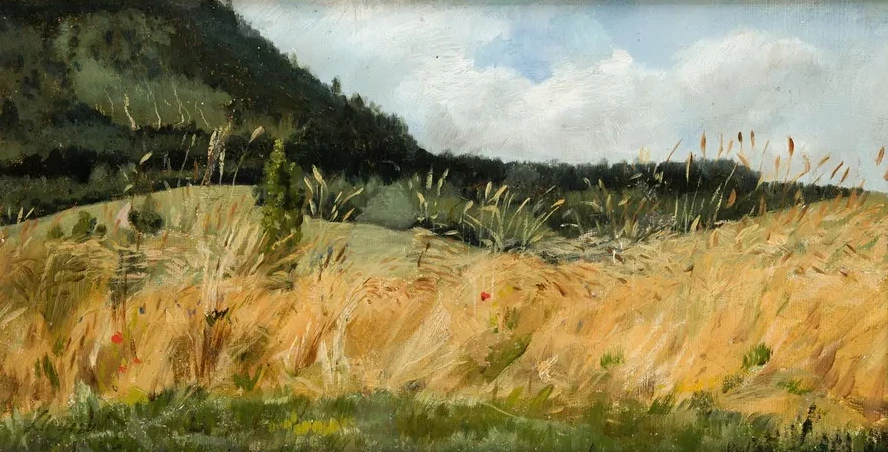 Corn - Field