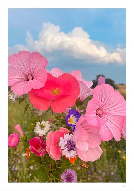 Cottage Flowers