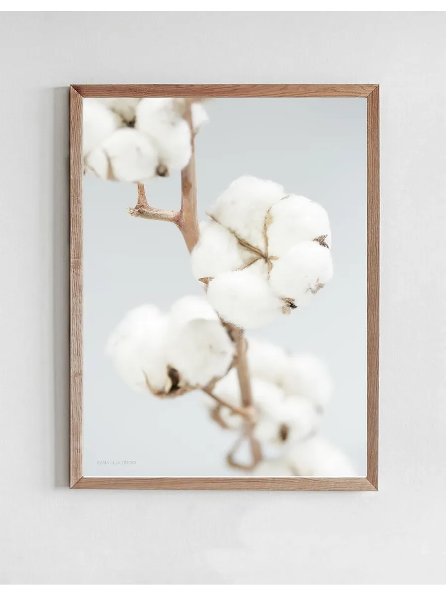 Cotton Kiss