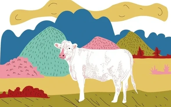 Cow in the Field