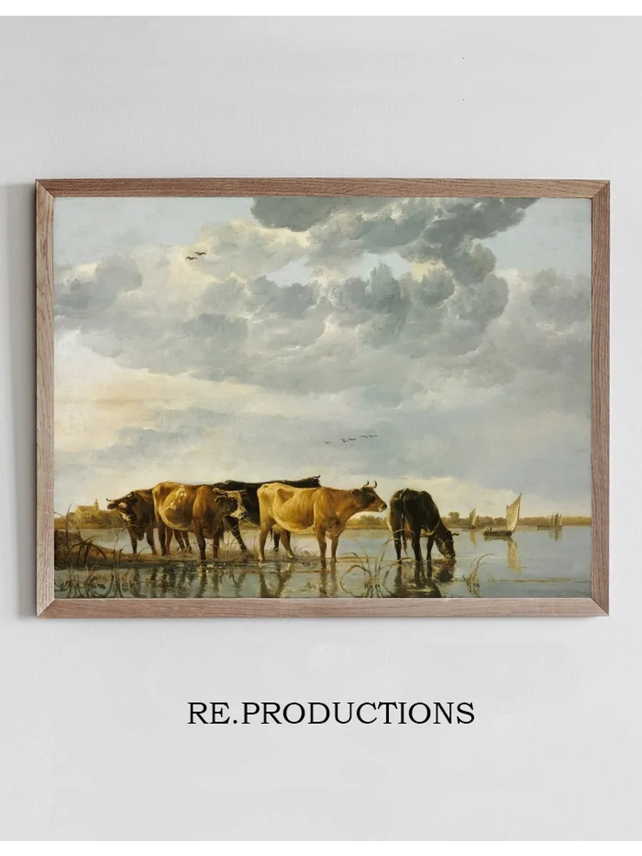 Cows in a River