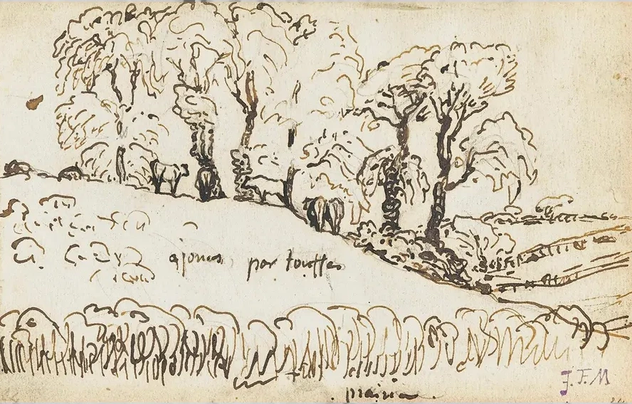 Cows Under Trees Near Gruchy