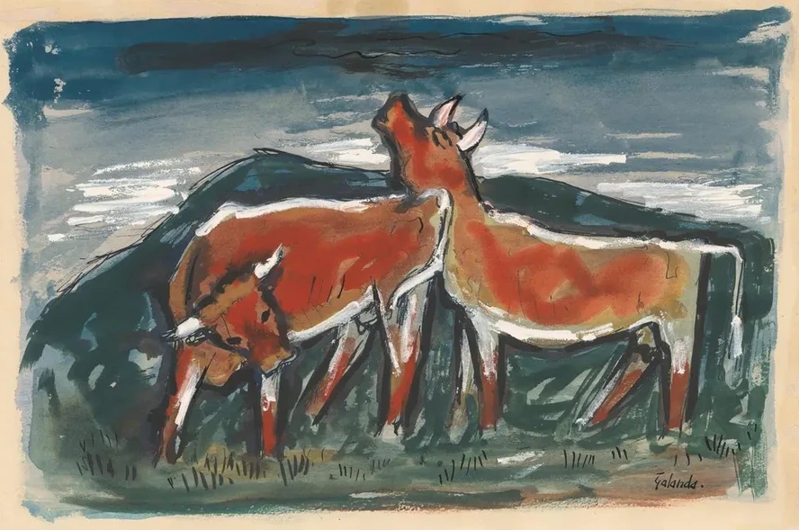 Cows