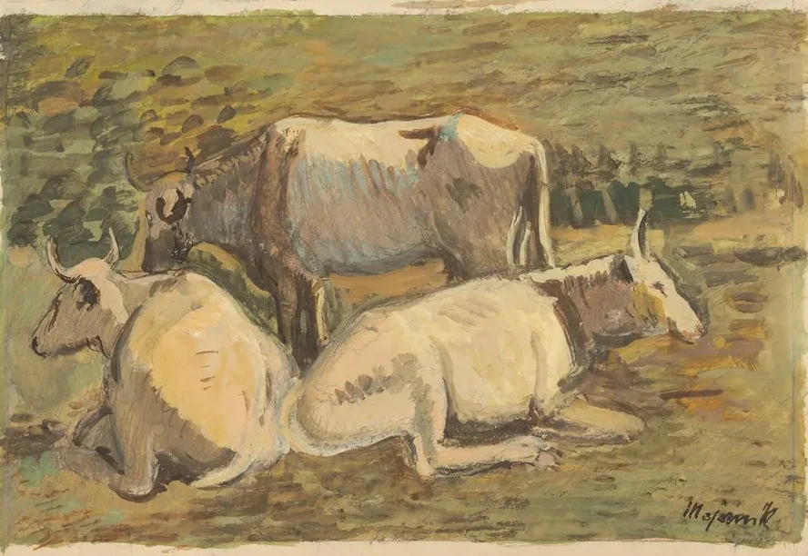 Cows