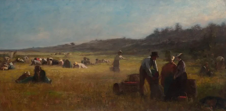 Cranberrypickers