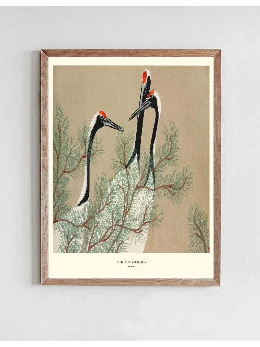 Cranes from Momoyogusa