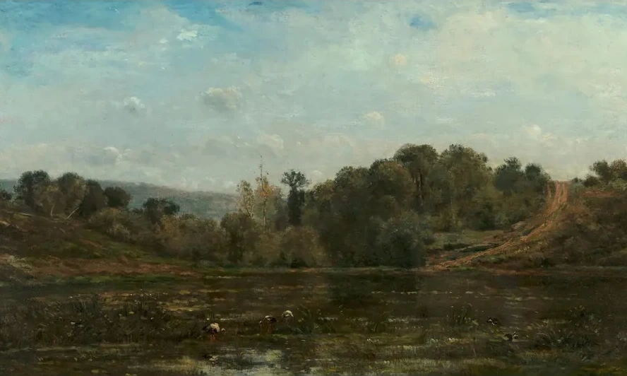 Cranes Watering at the Edge of a Pond