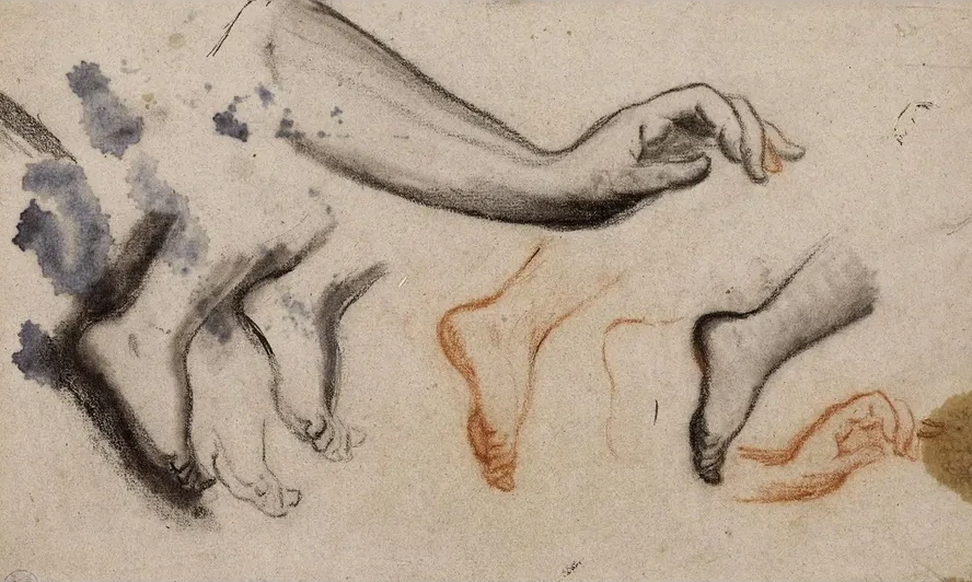 Croquis de Bras Gauche et Diverses Esquisses de Pieds