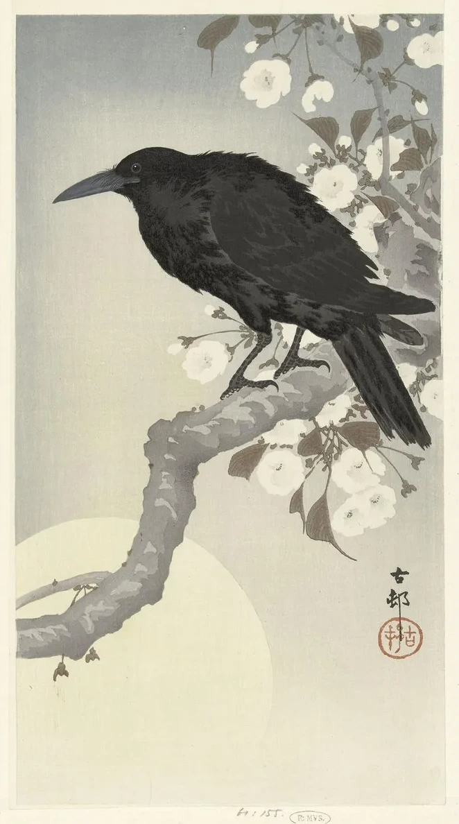 Crow at Full Moon