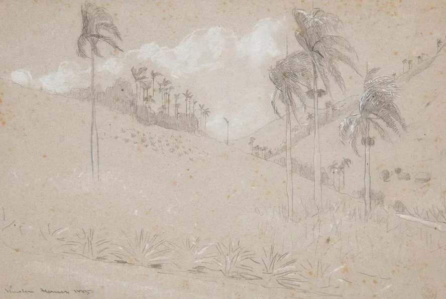 Cuban Hillside