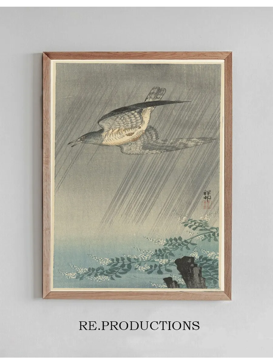 Cuckoo in Storm