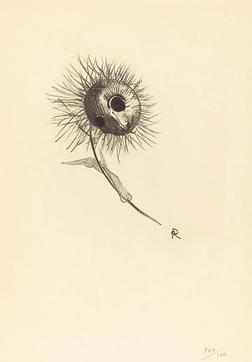 Cul - de - Lampe
