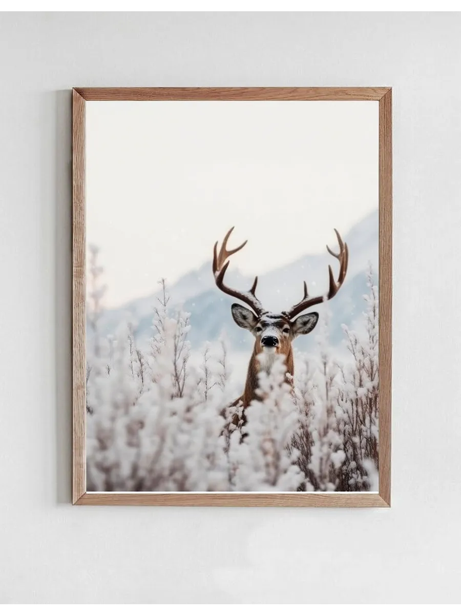 Curious Deer
