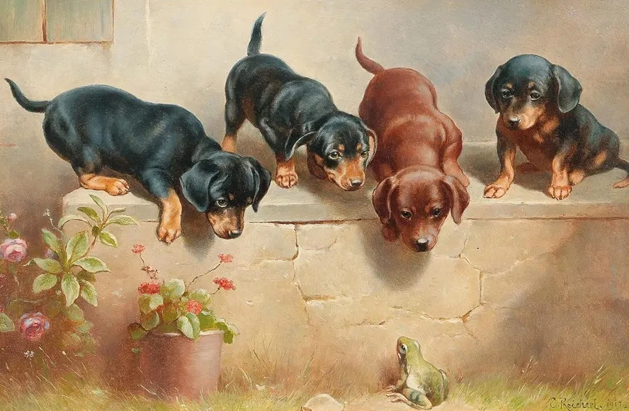 Curious Dachshund Puppies and a Frog