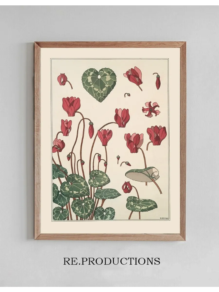 Cyclamen