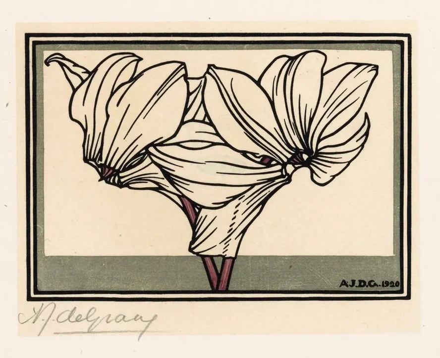 Cyclamen