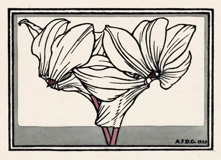 Cyclamen