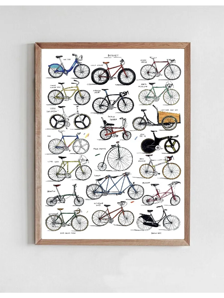 Cykler