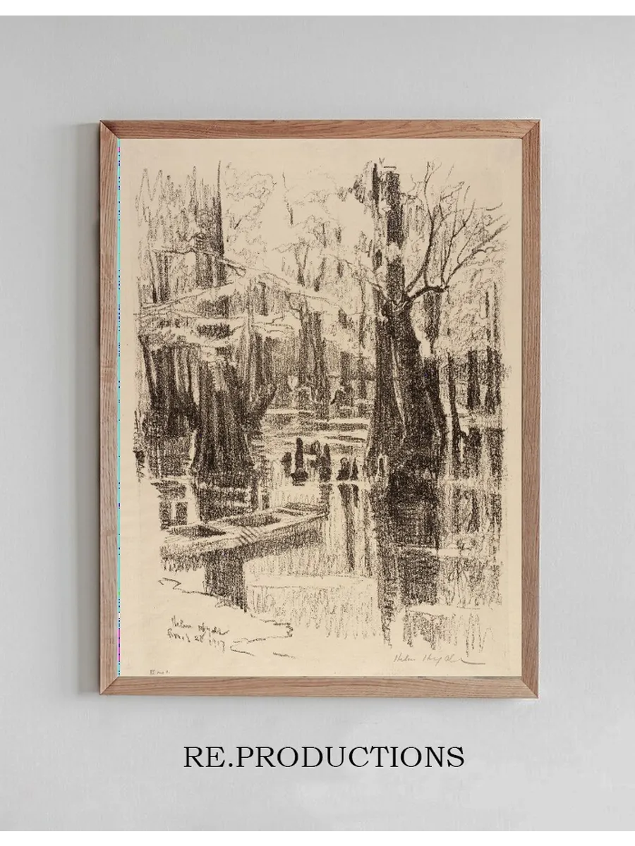 Cypress Swamp