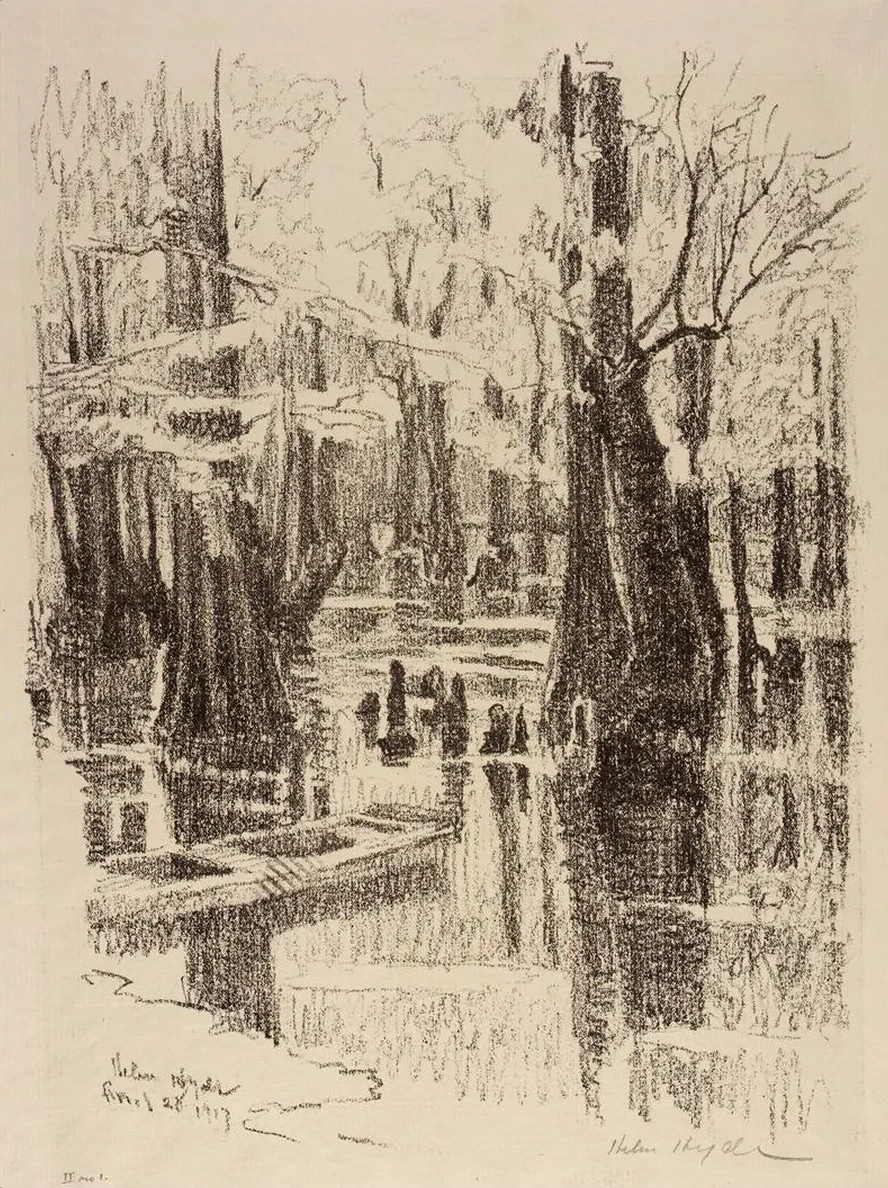 Cypress Swamp