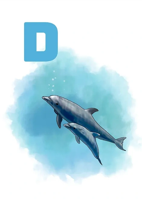D Blue Delfin