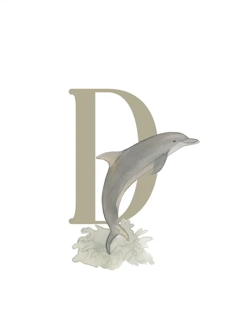 D - Delfin
