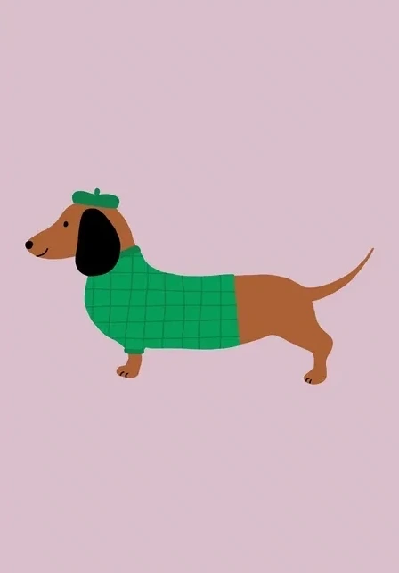Dachschund