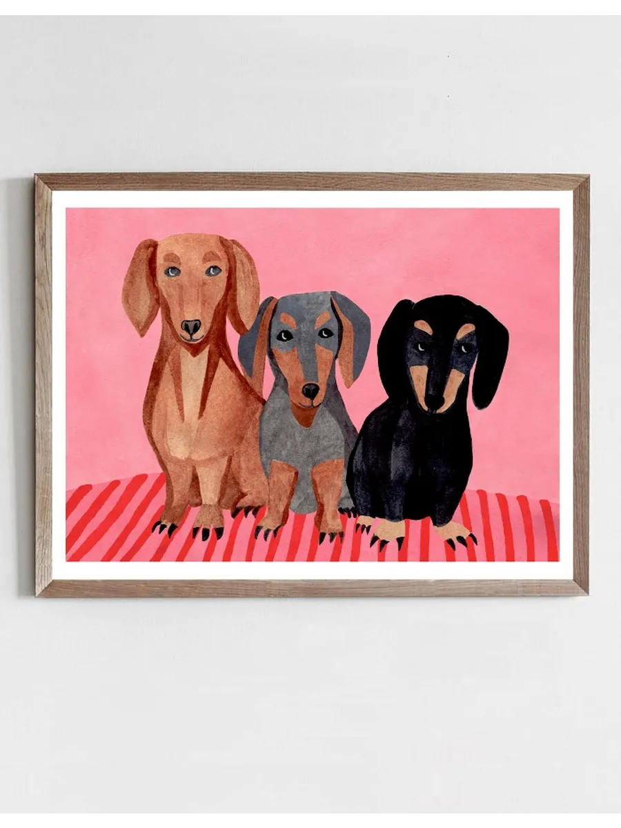 Dachshunds