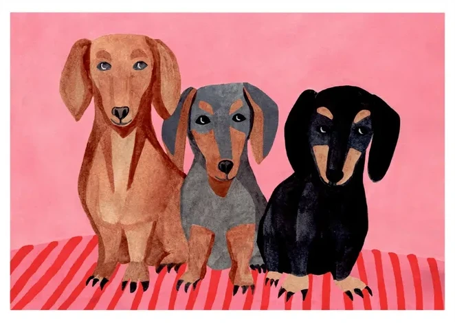 Dachshunds