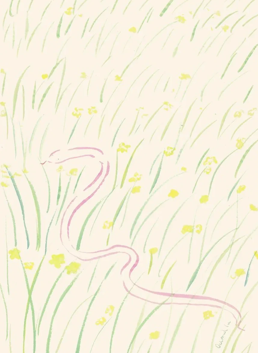 Daffodils and Snake