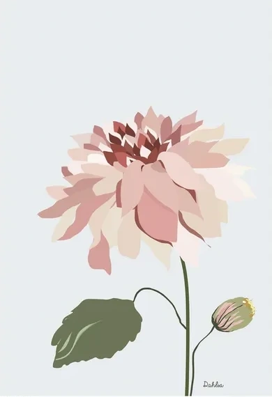 Dahlia