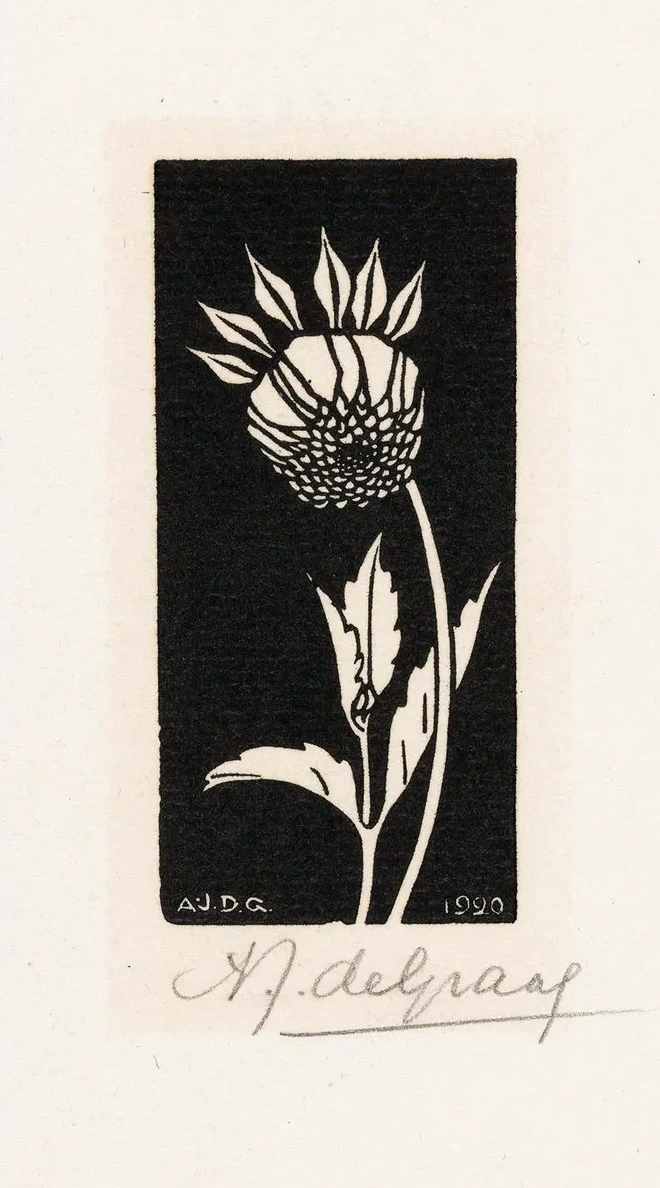 Dahlia