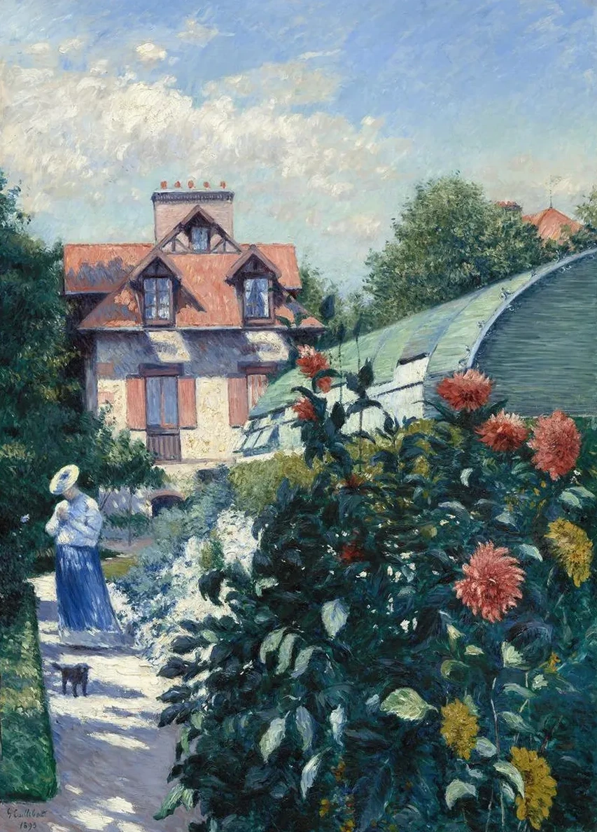 Dahlias,garden at Petit Gennevilliers