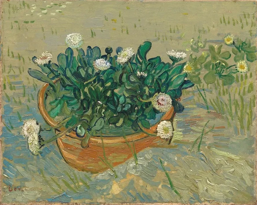 Daisies, Arles