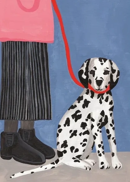 Dalmatian
