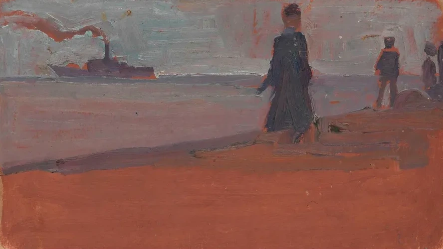 Dampfer Vom Strand Aus Gesehen