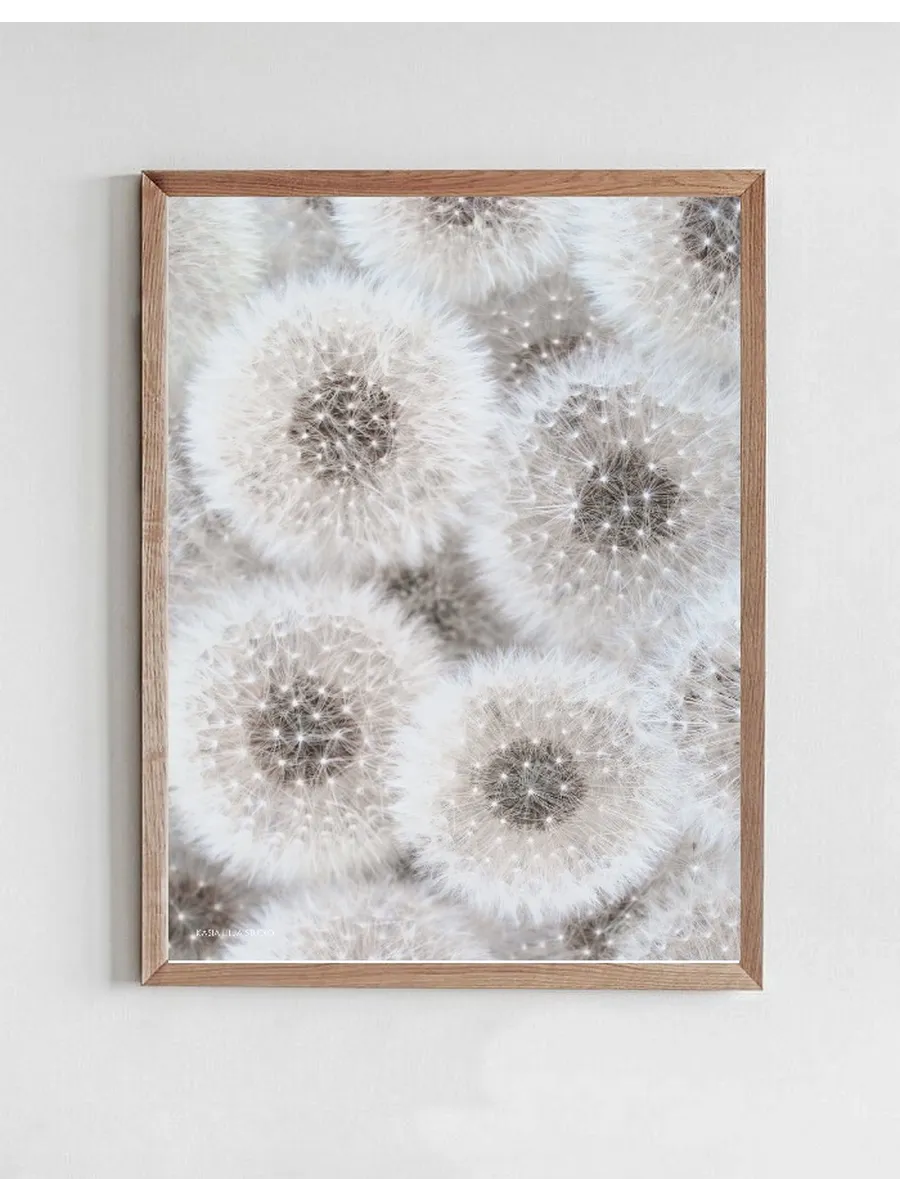 Dandelion Group