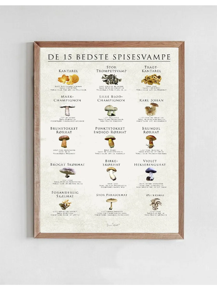 De 15 Bedste Spisesvampe