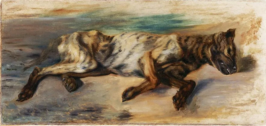 Dead Dog