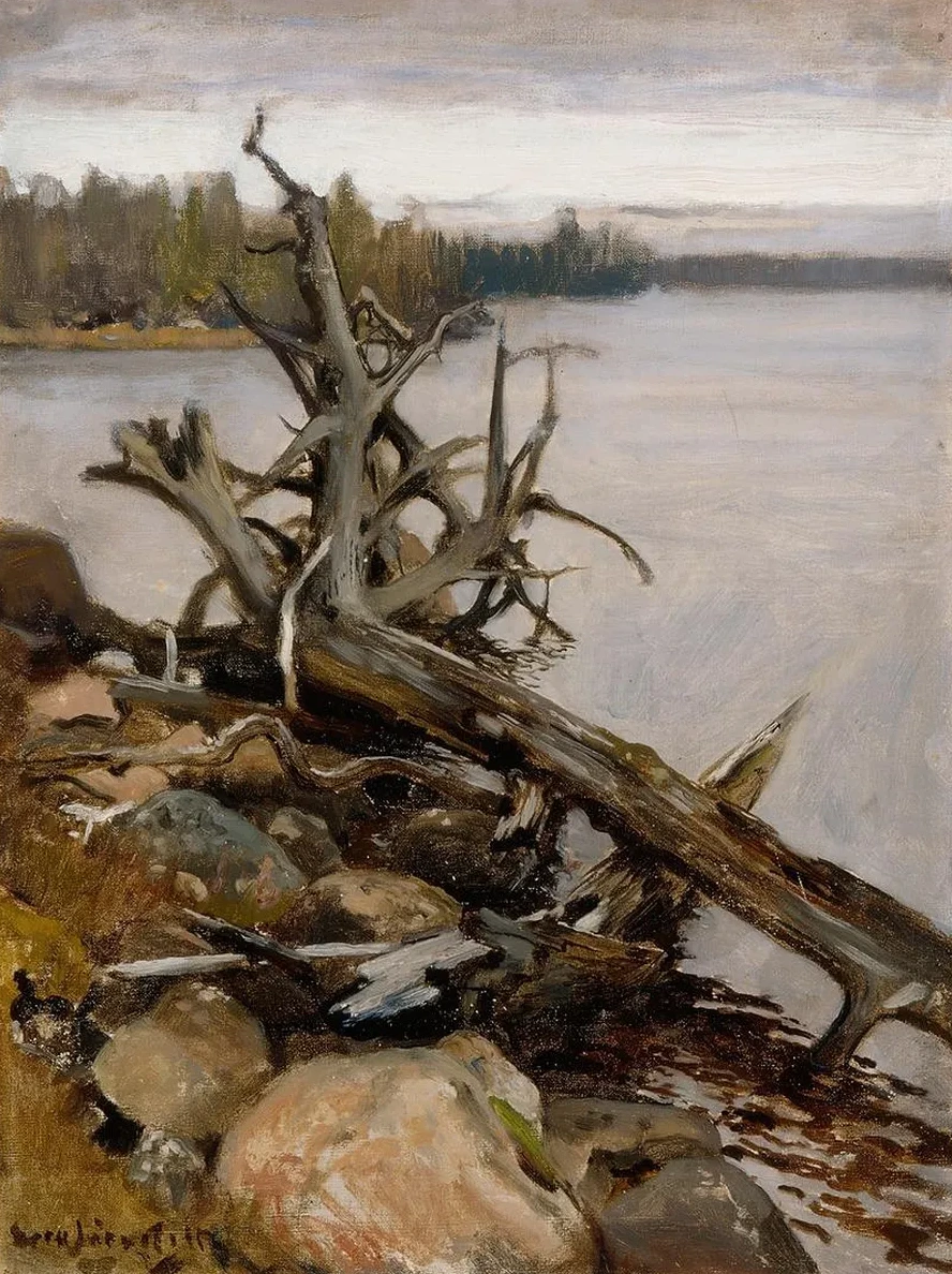 Dead Pine in the Water