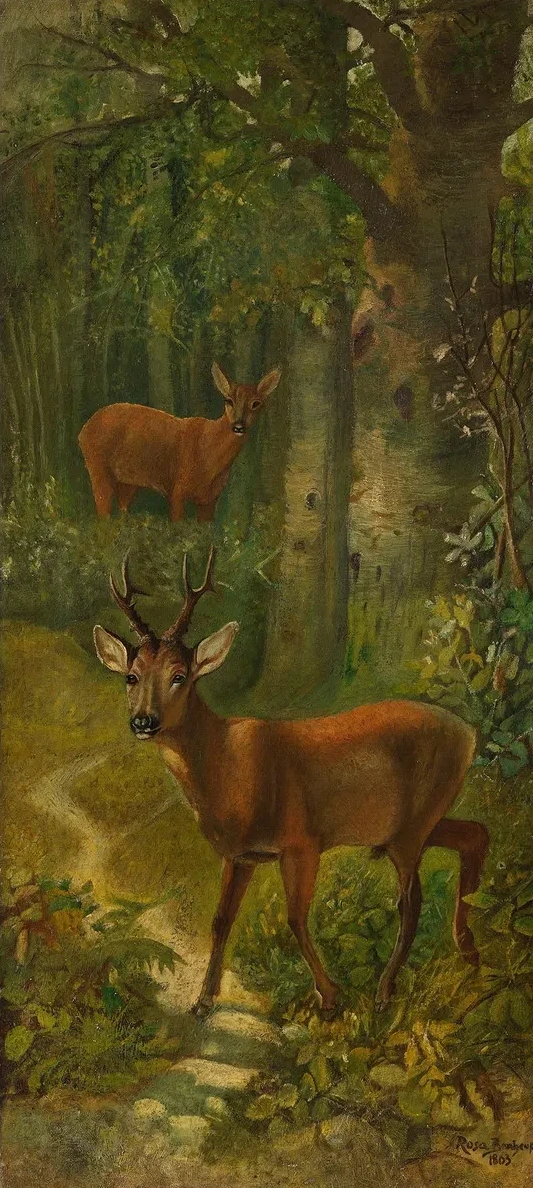 Deer at the Edge of the Forest